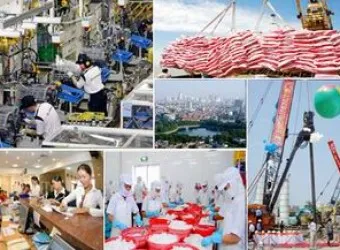 Ảnh minh họa. Nguồn: Internet Ảnh minh họa. Nguồn: Internet